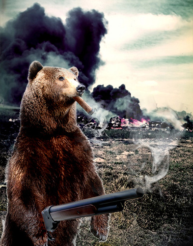 Grizzly attack