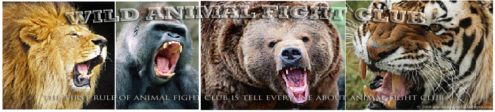 Wild Animal Fight Club