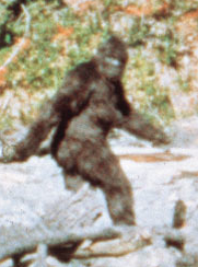 sasquatch
