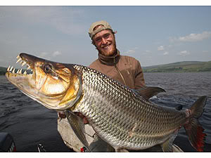 Goliath Tigerfish vs